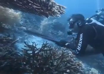 Kanim Sorong Terima WN China Terkait Dugaan Pelanggaran Konservasi Raja Ampat