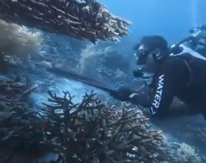 Kanim Sorong Terima WN China Terkait Dugaan Pelanggaran Konservasi Raja Ampat